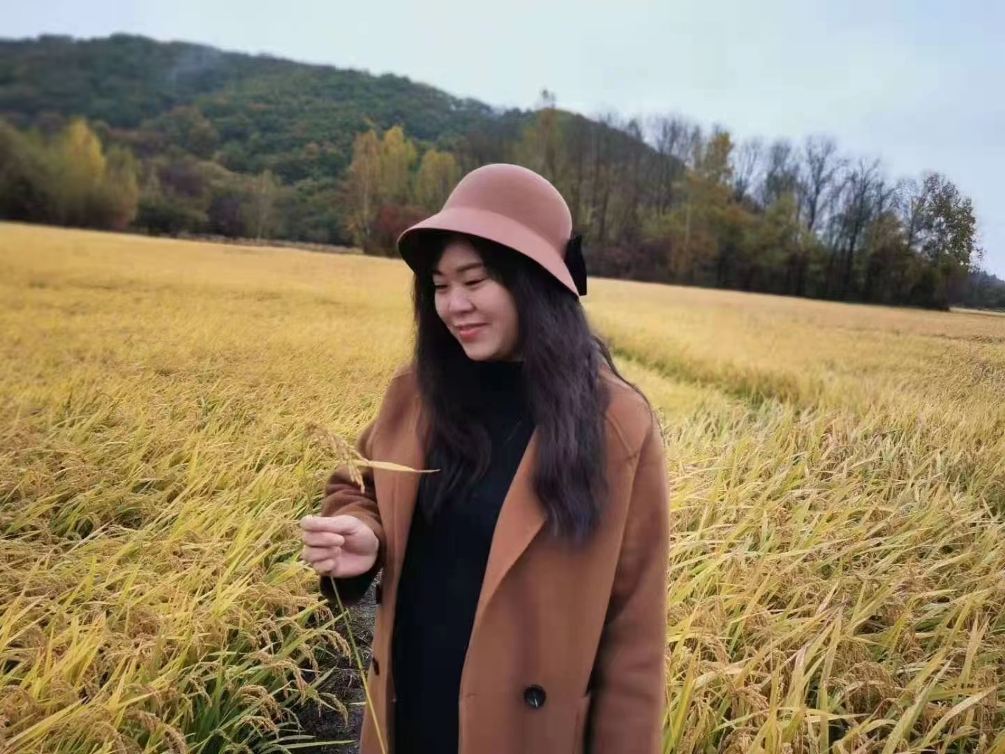 会员-女-79年-央企